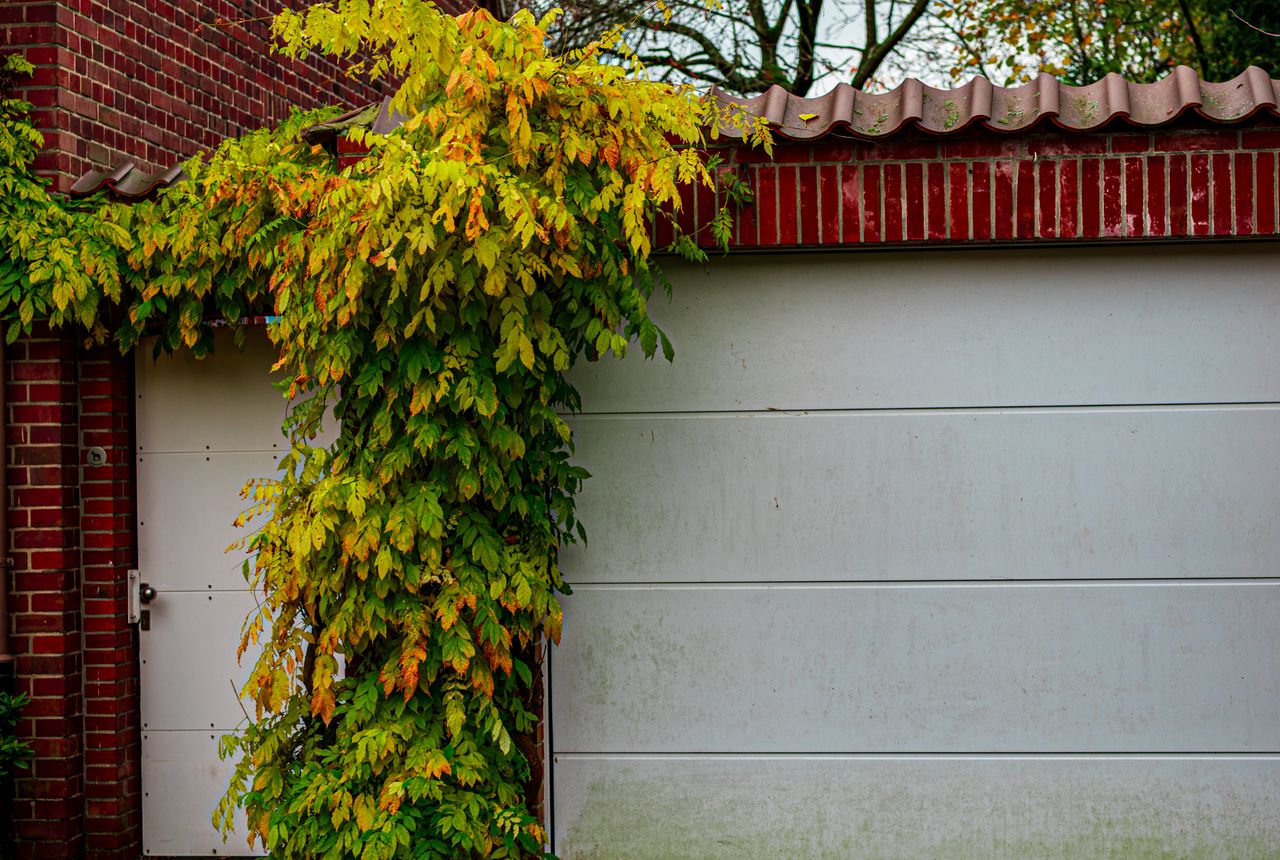 Garage door service in Wyckoff, NJ
